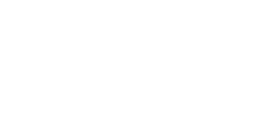 Monkey Force 5